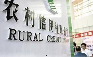 湖北农信社最新爆料,揭秘金融创新与风险防控新举措